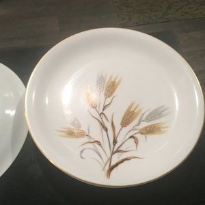 Noritake Fine China Japan #5414 Wheaton Golden 10" Dinner Plates